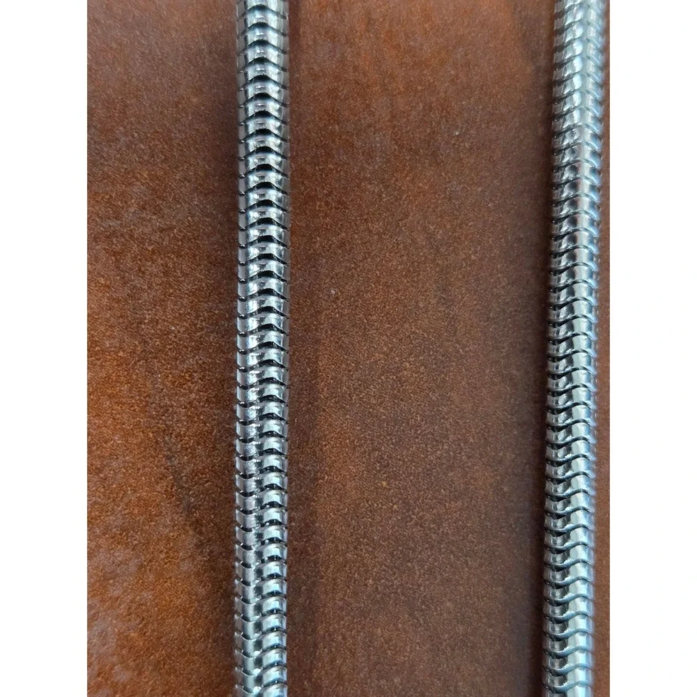 Stainless Steel Snake Chain Necklace Silver Tone Minimalist 22 Inch Round Link
